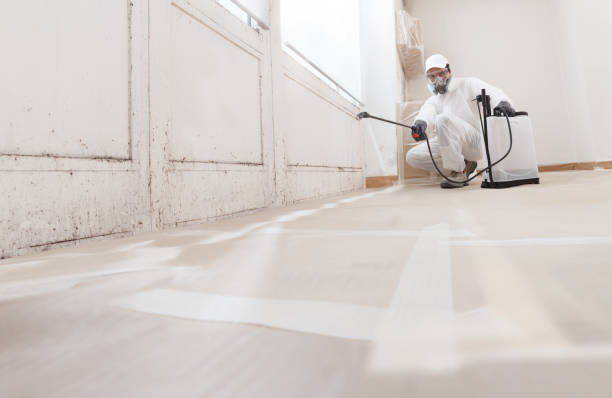 24/7 Emergency Mold Remediation experts in Lansdale, PA